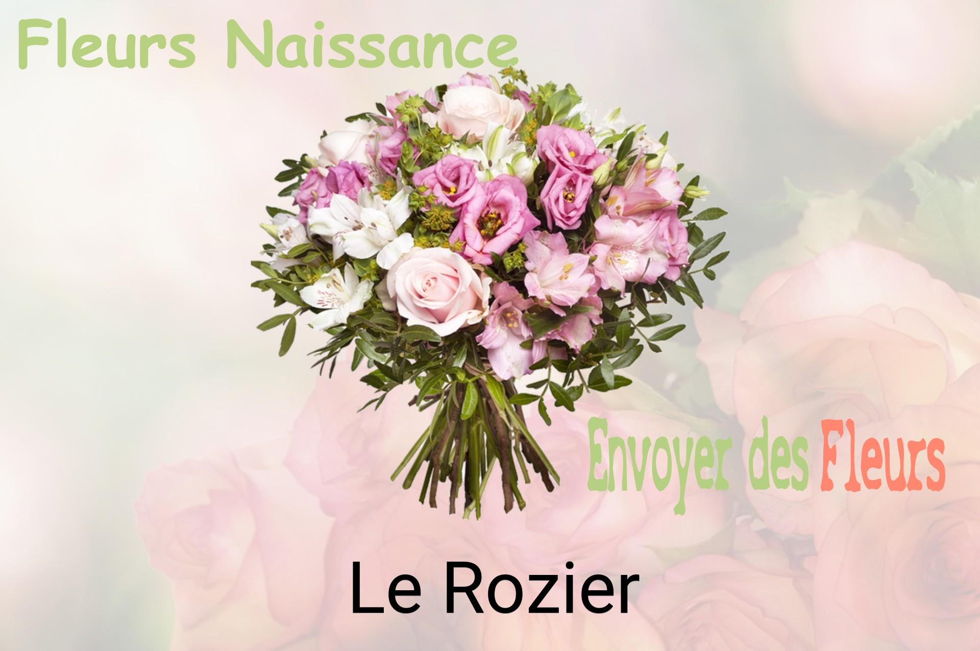 Bouquet de fleurs de naissance livré à Le Rozier